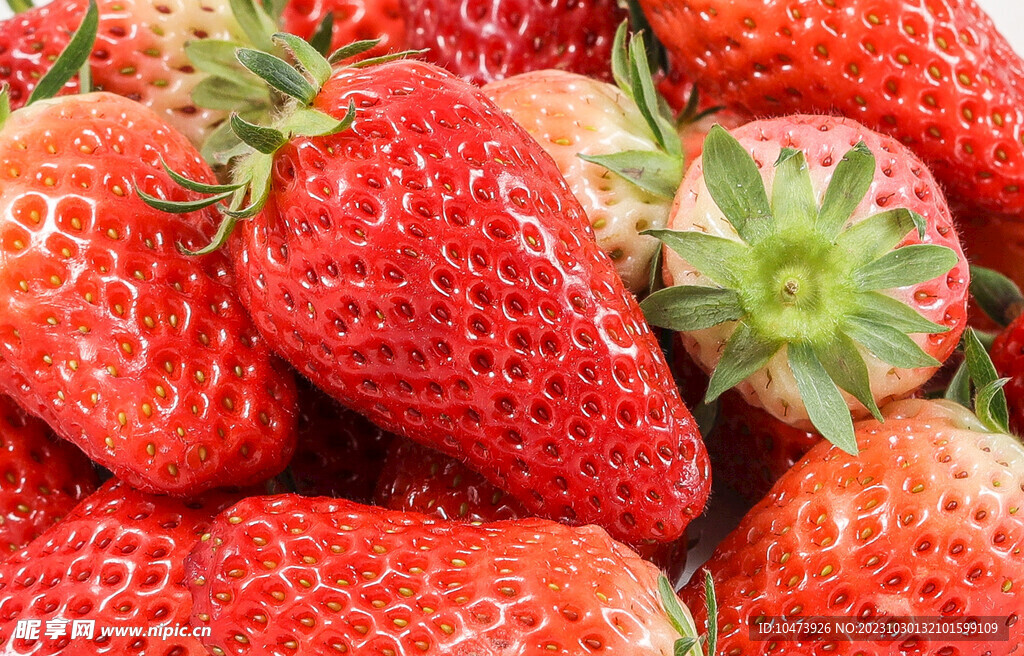 新鲜的草莓图片
