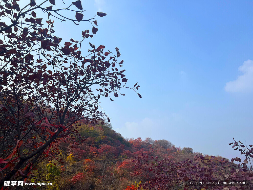 天赐山