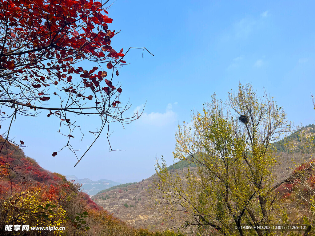 青州天赐山