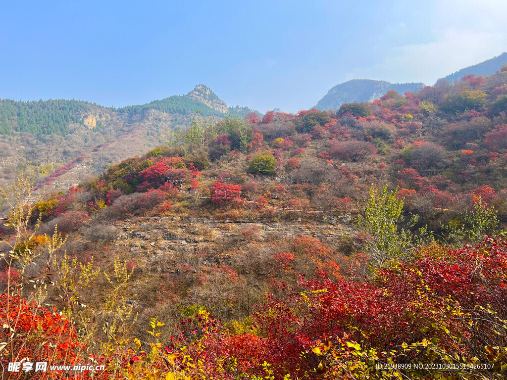 青州天赐山