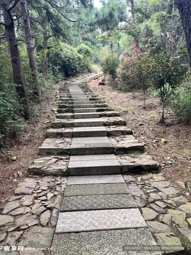 山间小路