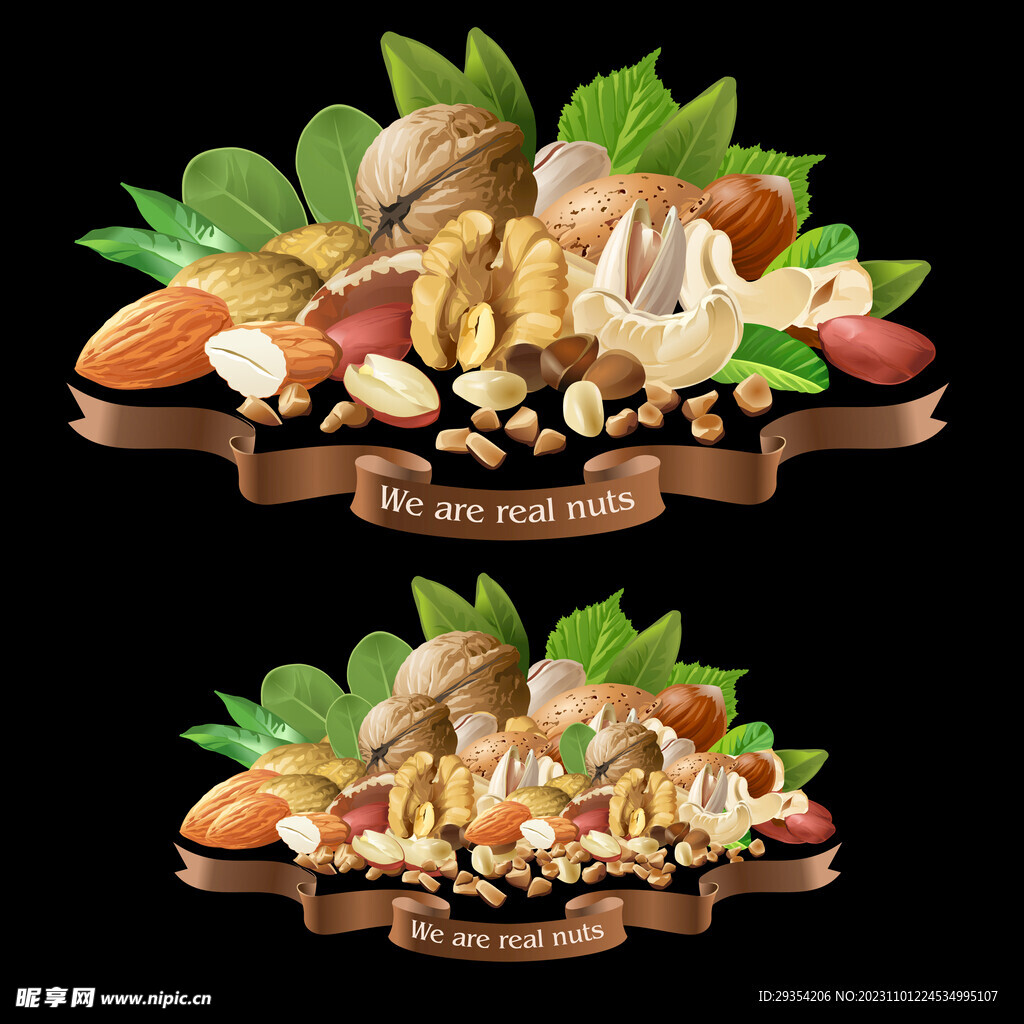 美味营养坚果矢量素材图片