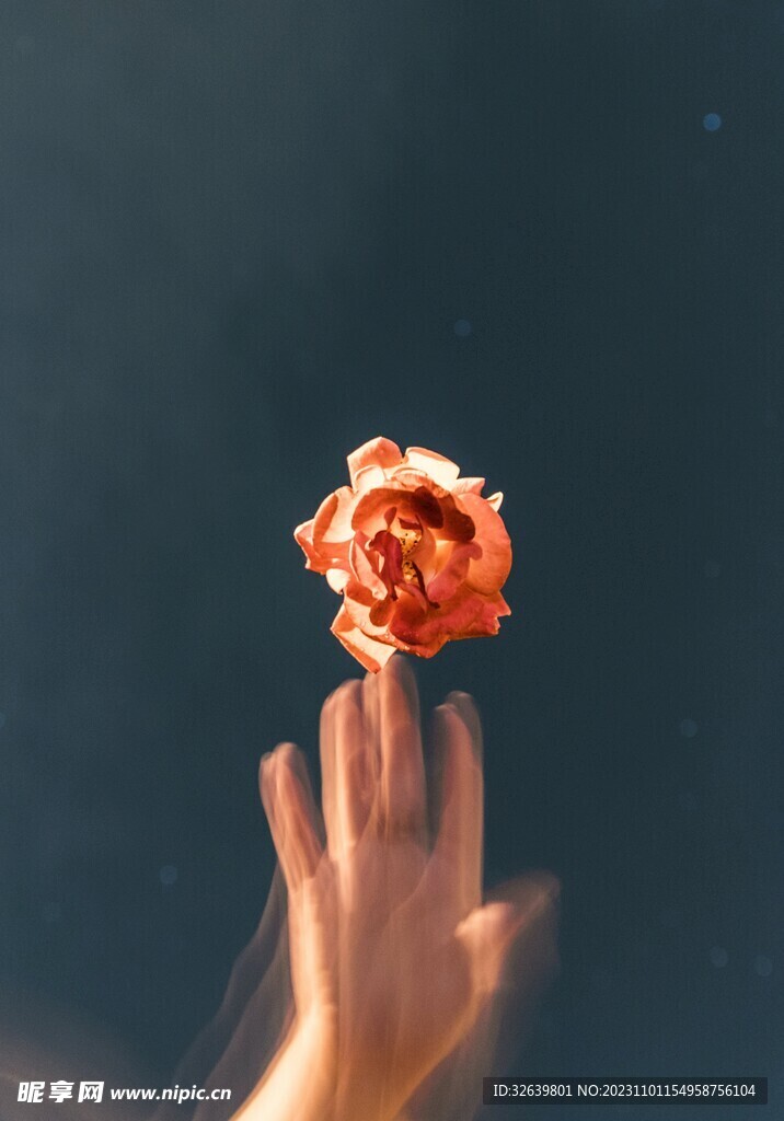 手扶玫瑰