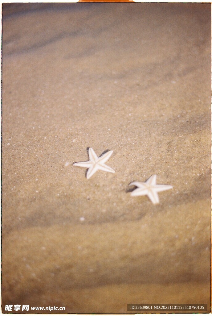 海星