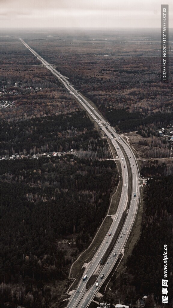 森林公路