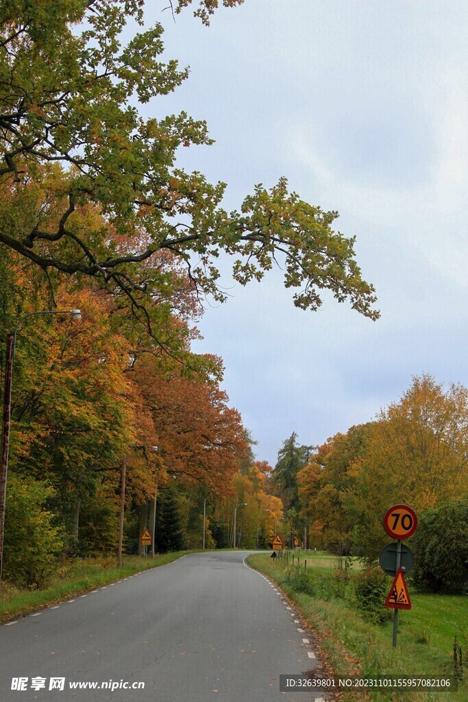 森林公路