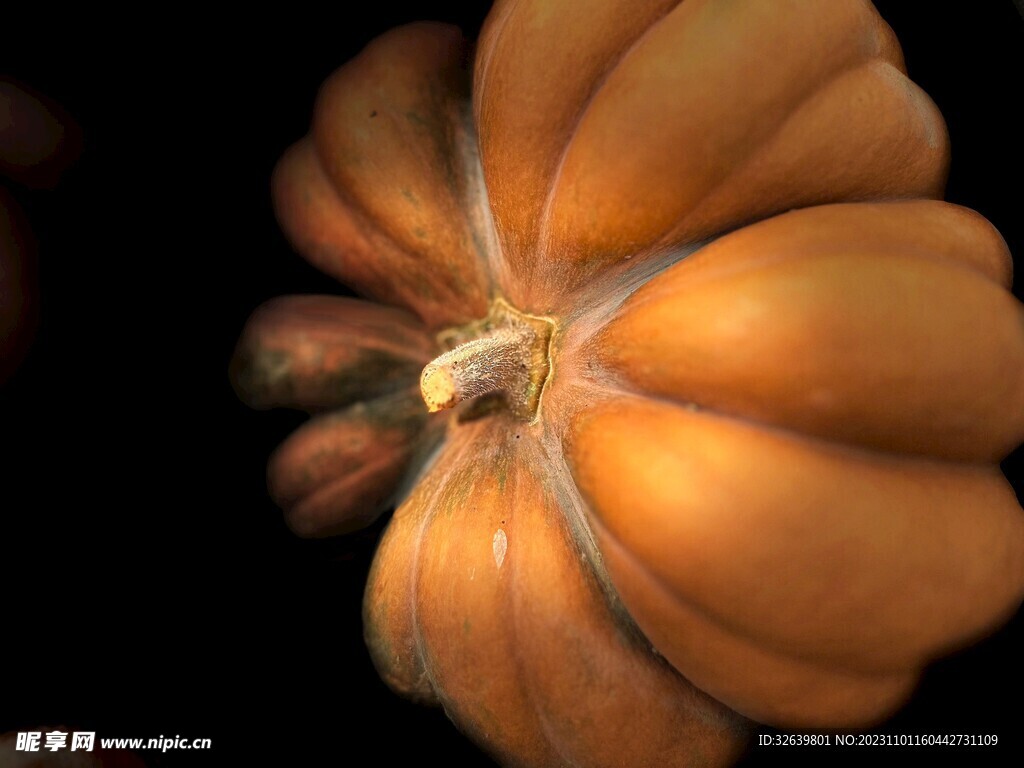 南瓜