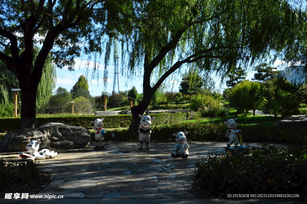 公园风景