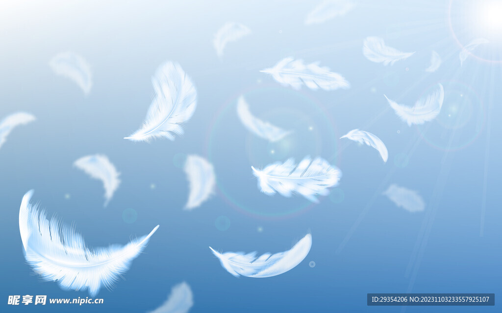 白色羽毛矢量元素图片