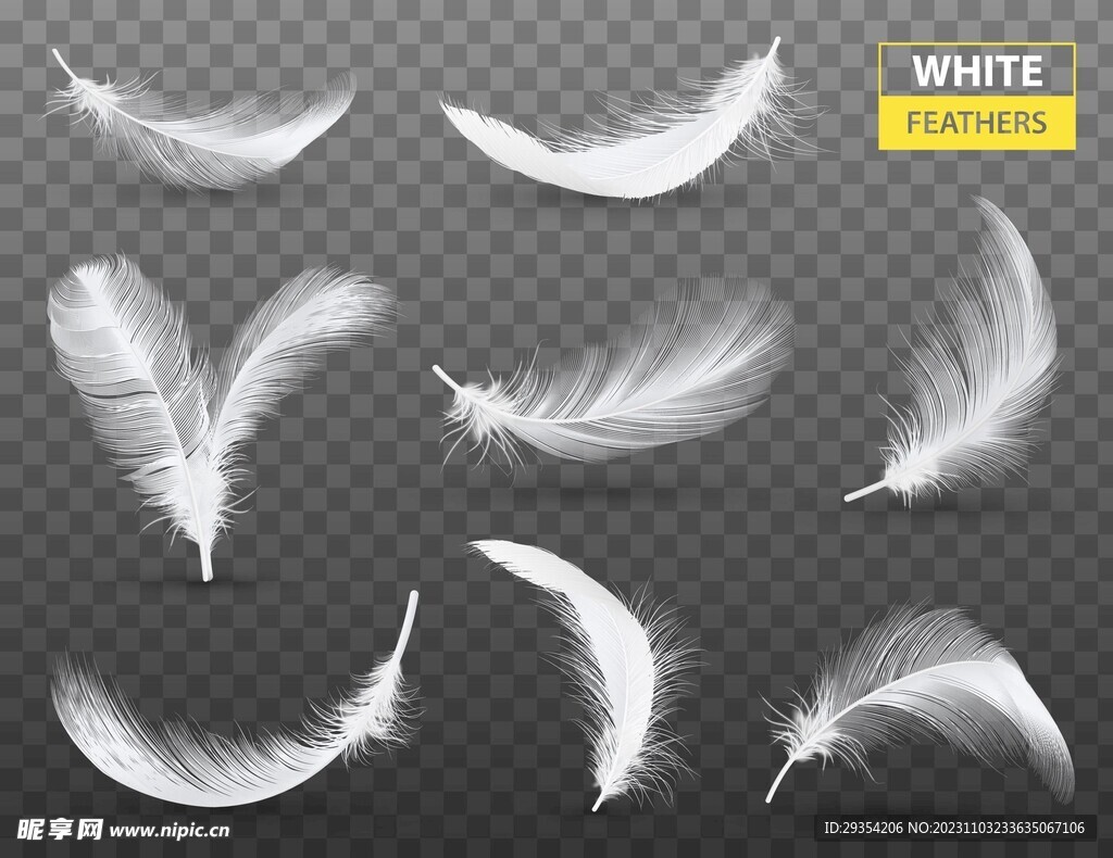 免扣掉落的白色羽毛图片