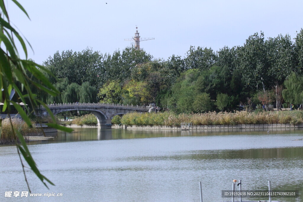 公园风景