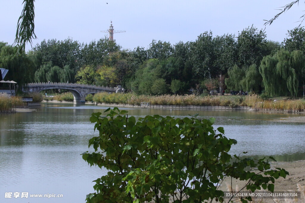 公园风景