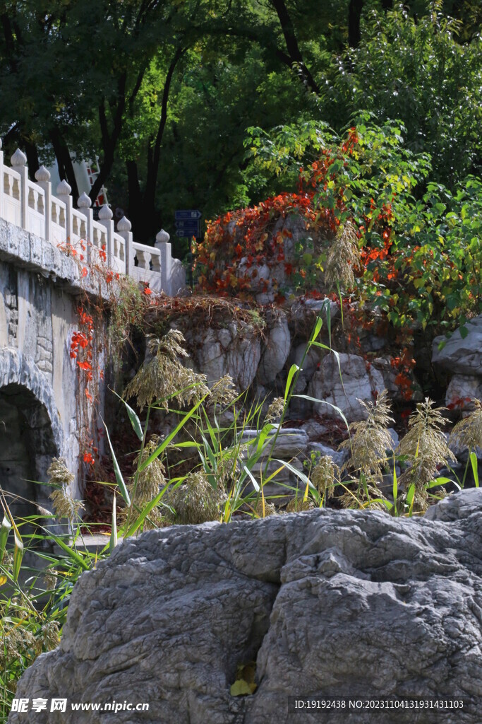 公园风景 