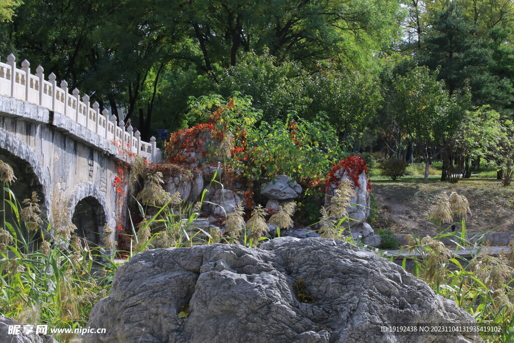 公园风景