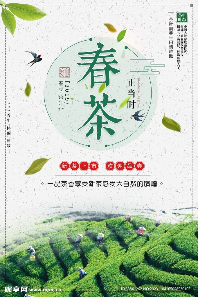春茶宣传促销新品茶叶海报