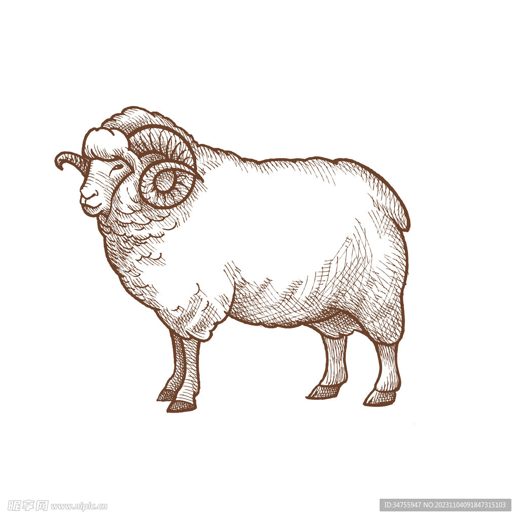 手绘羊