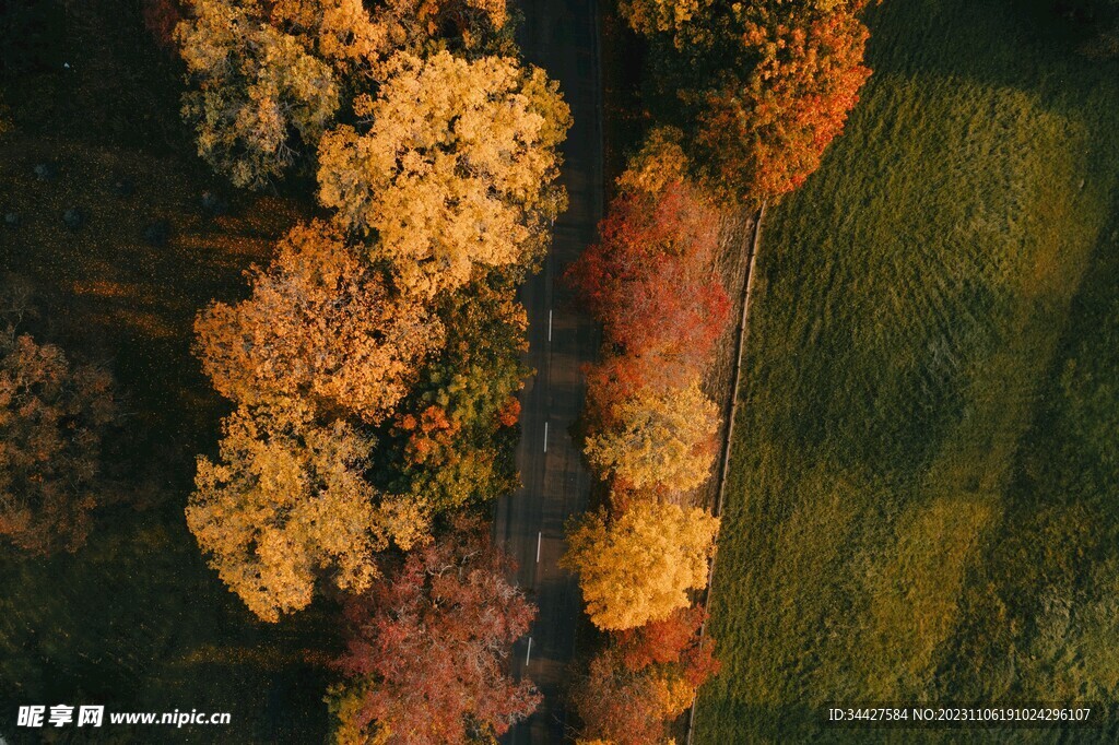 航拍林间道路