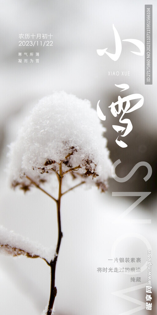 小雪