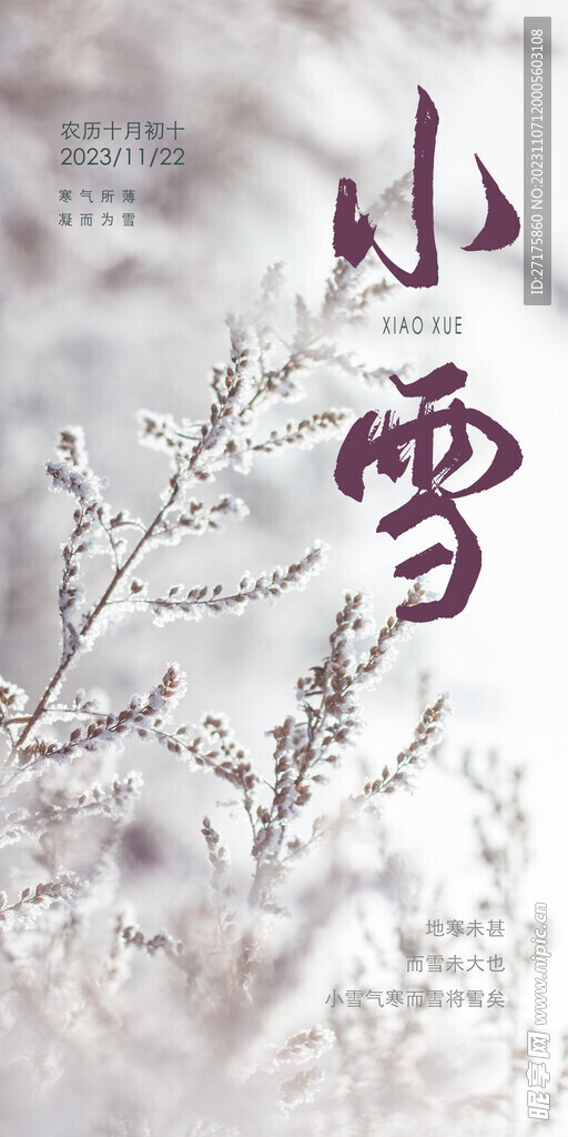 小雪