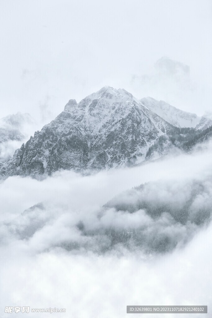 山顶云海