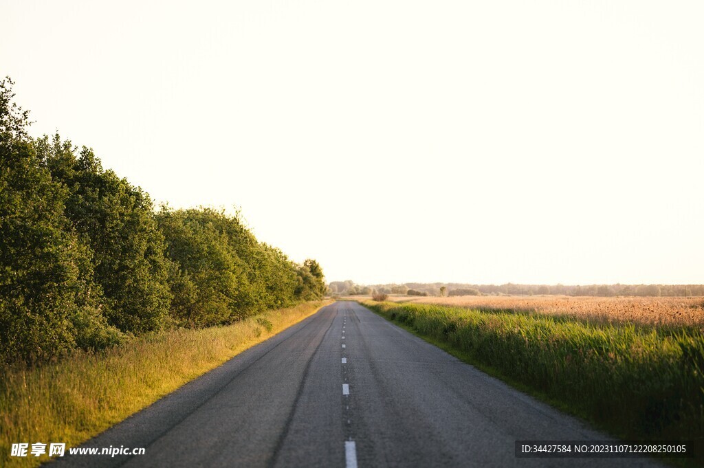 田野道路风光