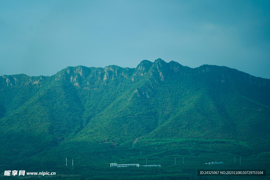 山