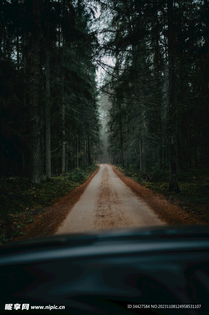 车窗外的道路风景