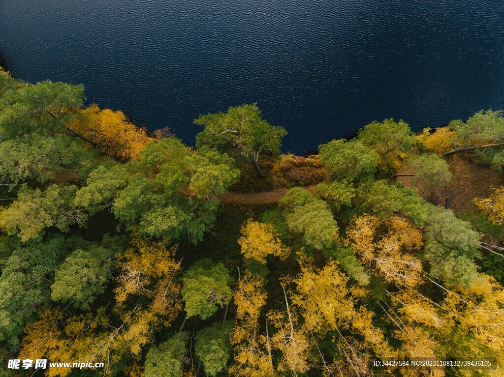 航拍湖边树林风景