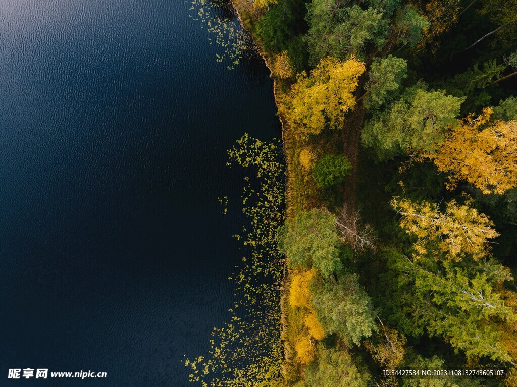 航拍湖边树林风景