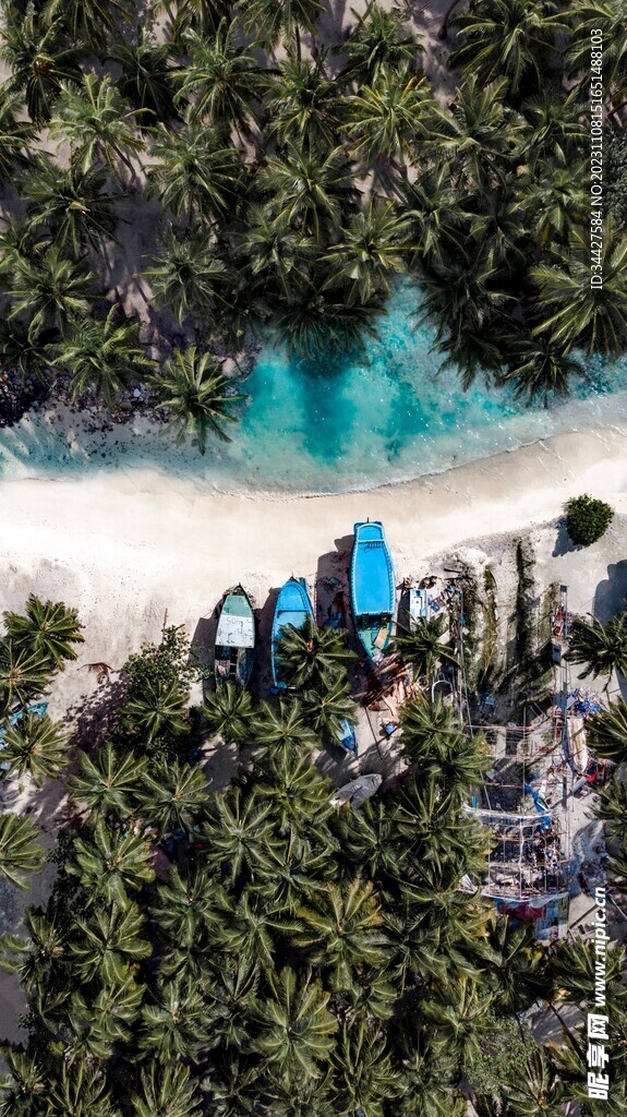 航拍椰子树和海船