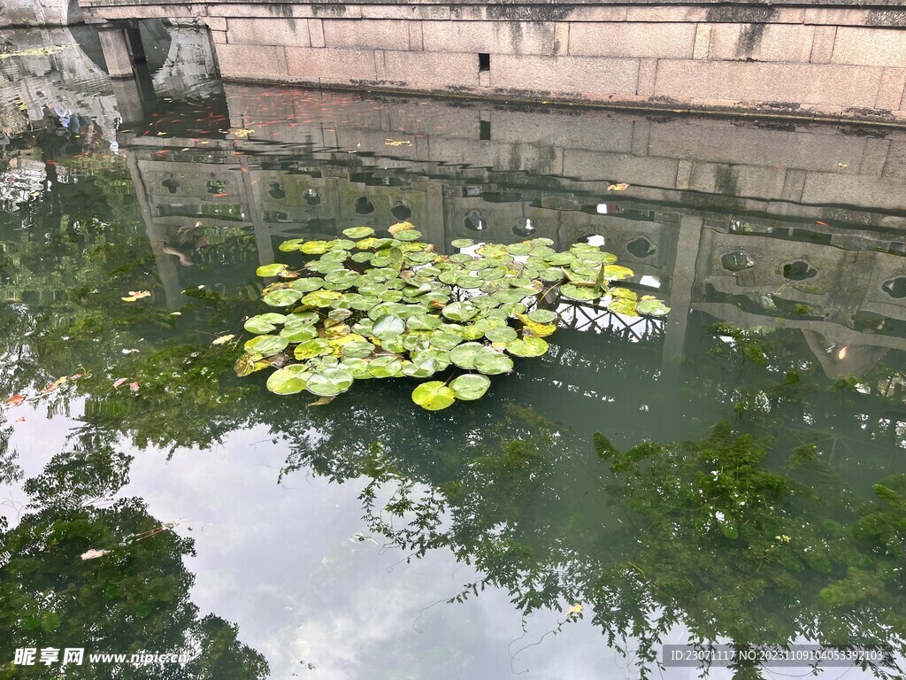 苏州园林