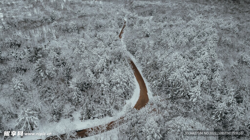 航拍雪林中道路