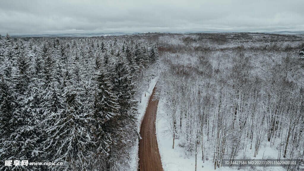 航拍雪林中道路