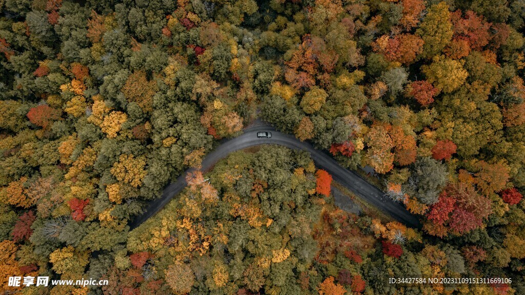 航拍秋林中道路