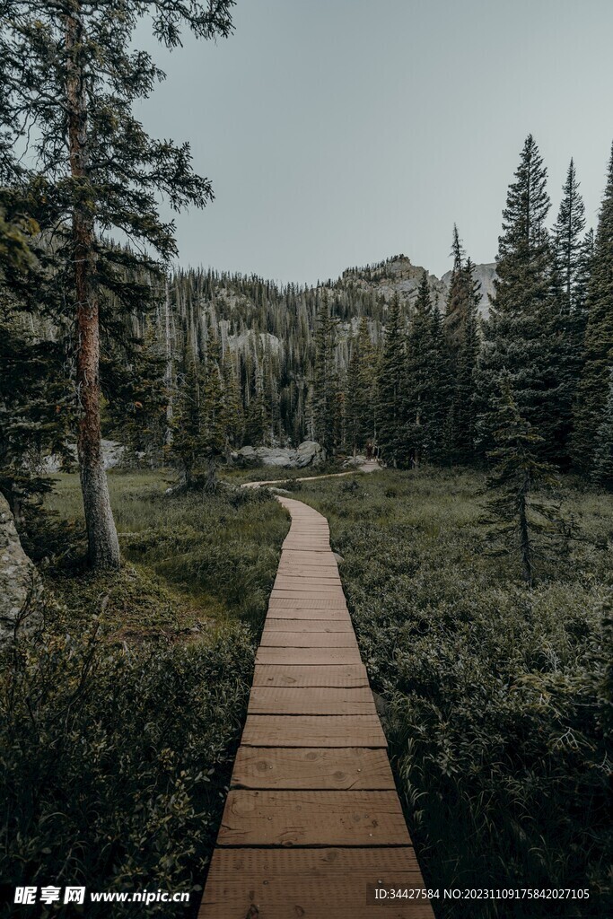林间小路