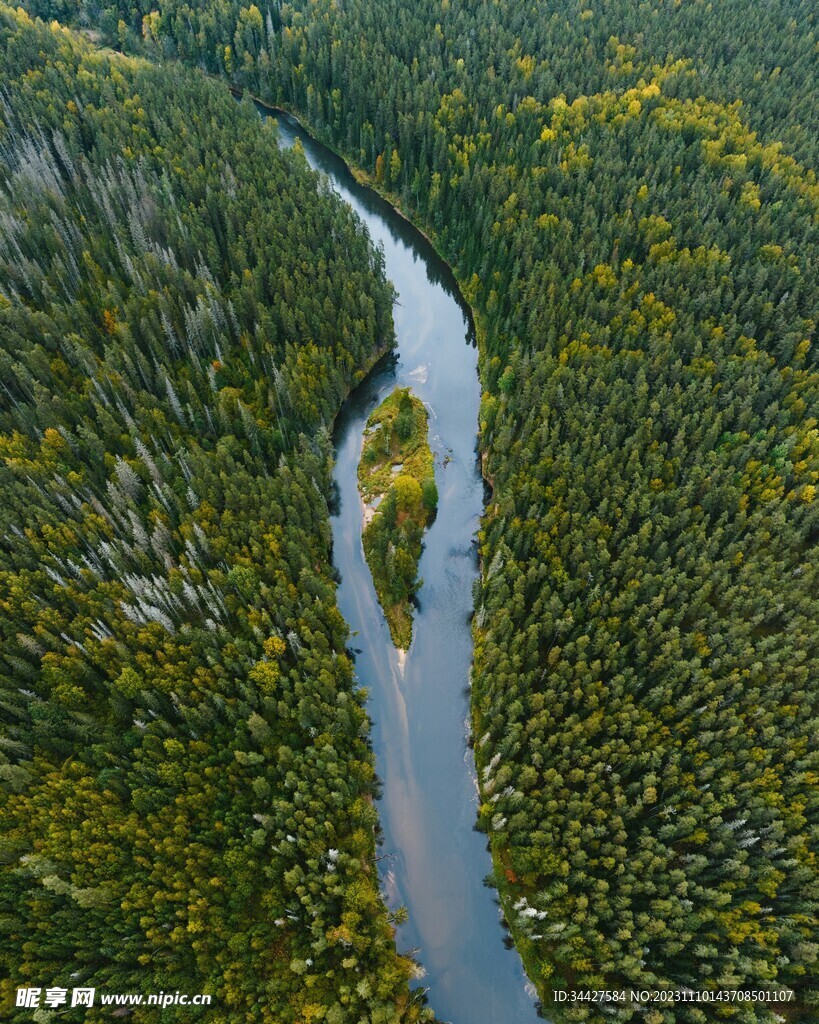 航拍树林河流