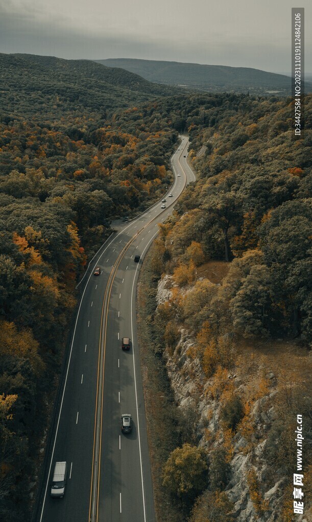林间公路的鸟瞰图