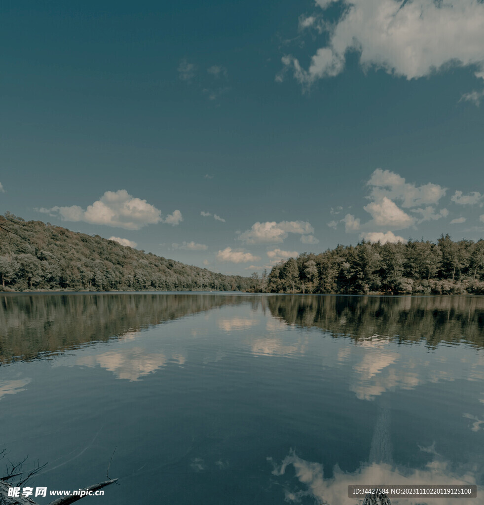 树林湖景