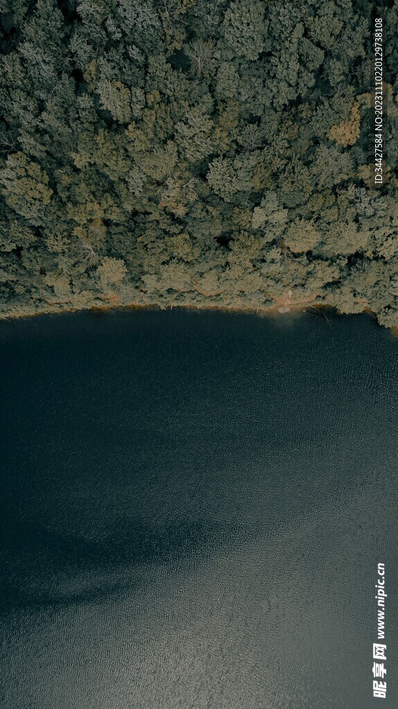 湖边树林鸟瞰图
