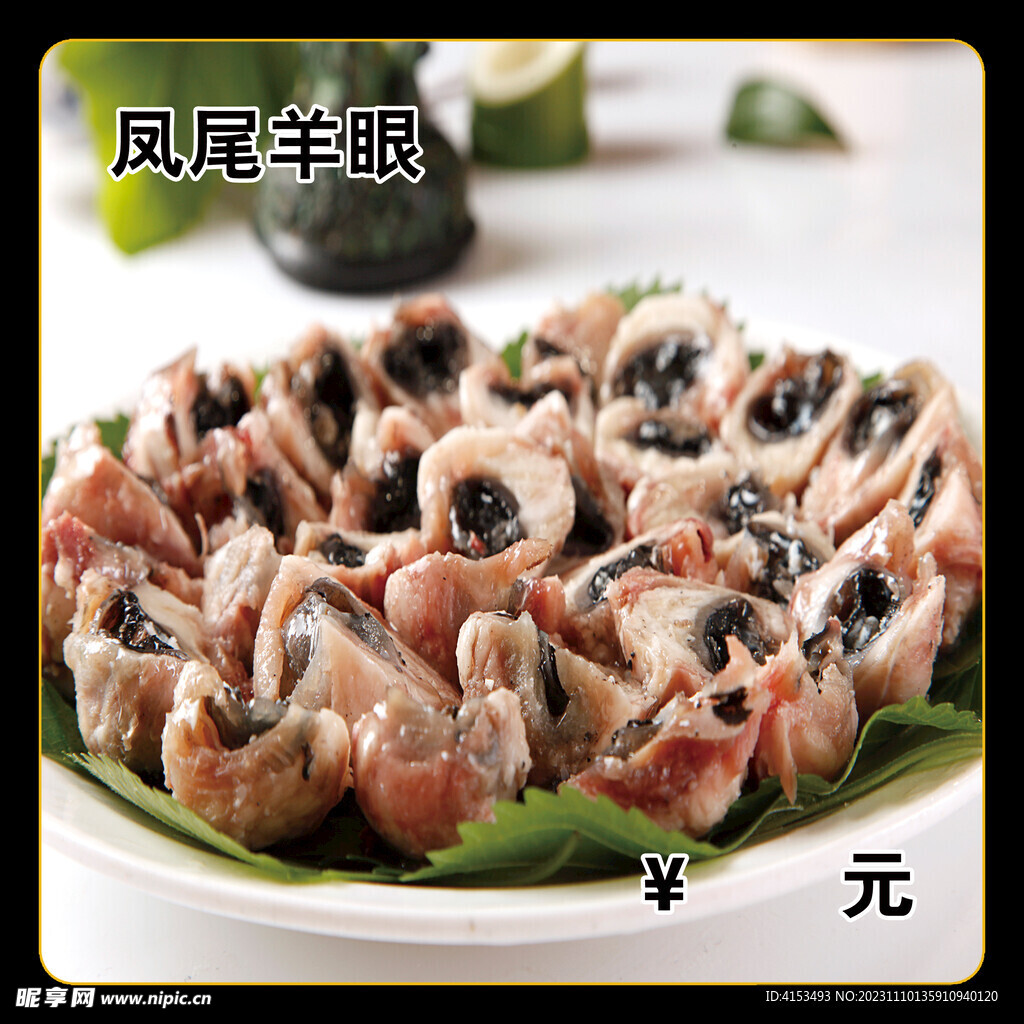 凤尾羊眼