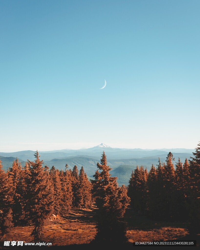 山脉树林风景和弯月