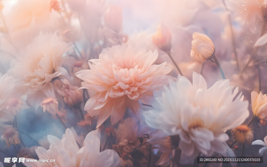 花朵框画