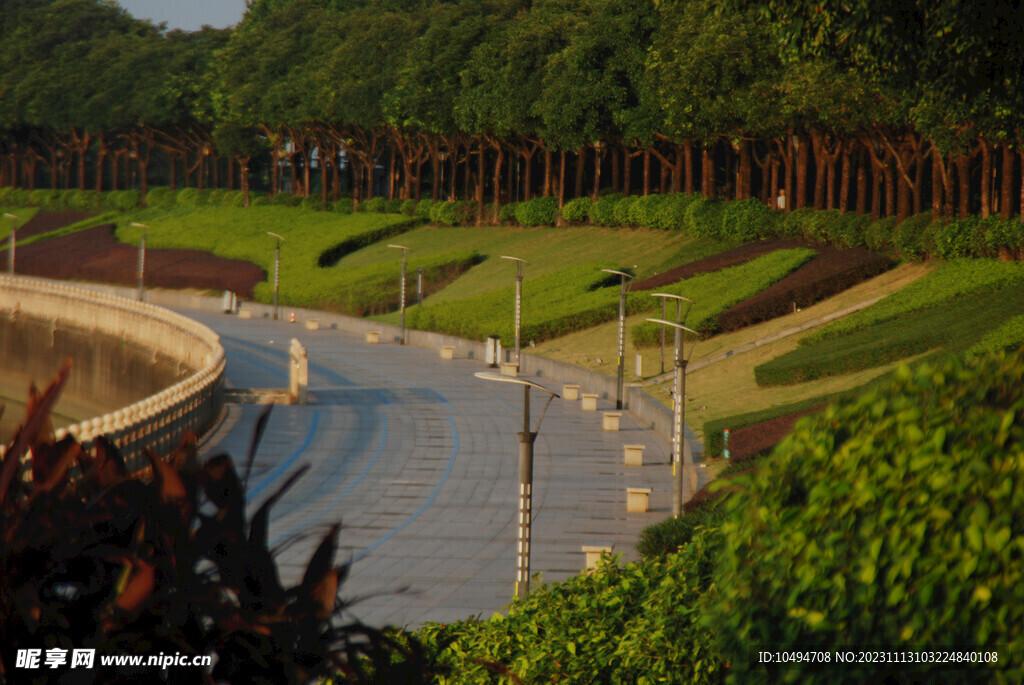 公园草地