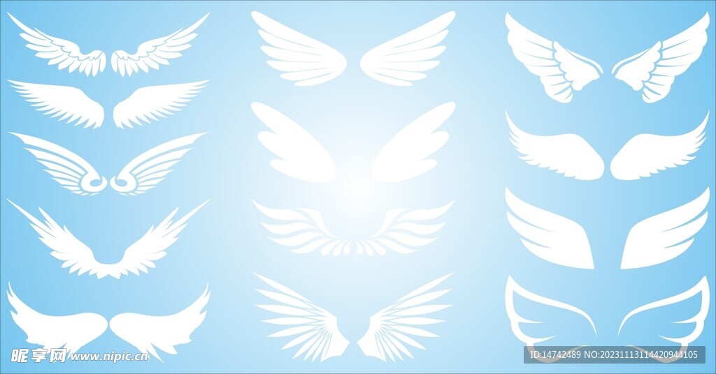 矢量翅膀