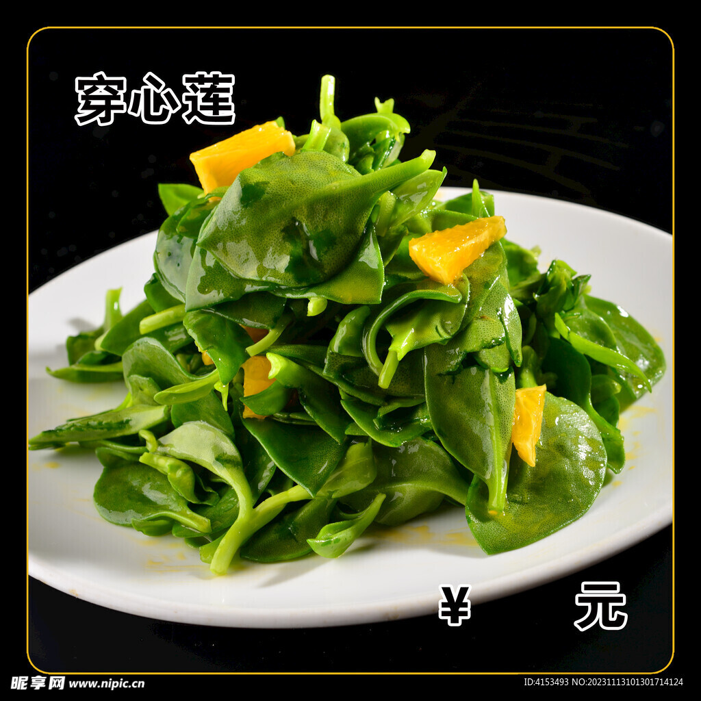 穿心莲