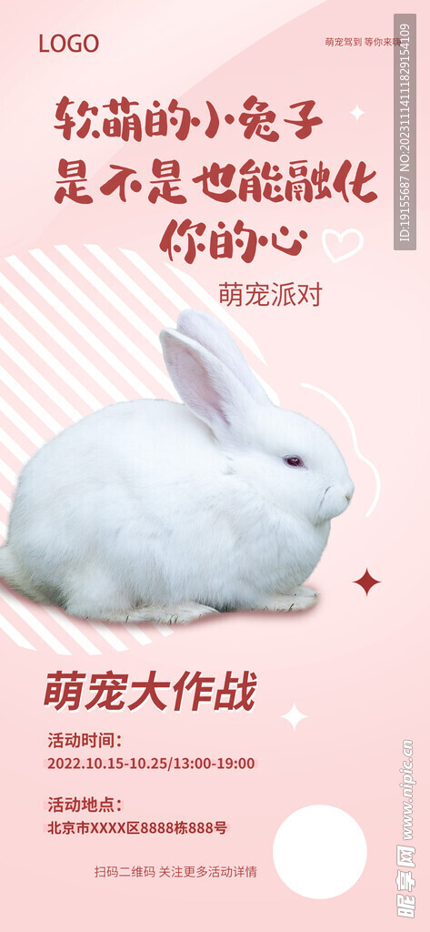 宠物促销海报