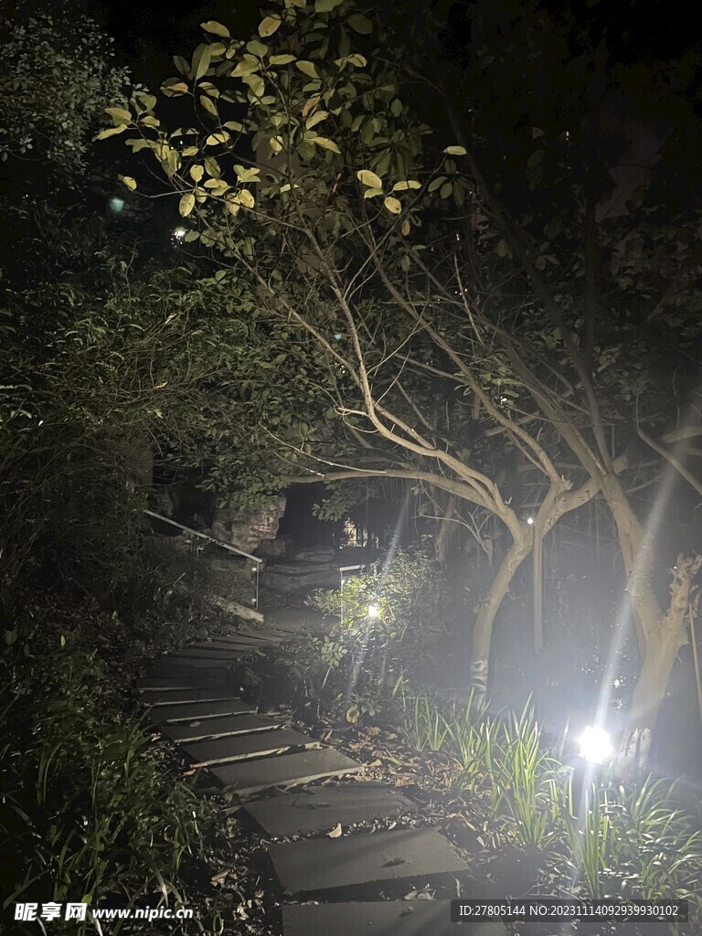 石阶梯晚景