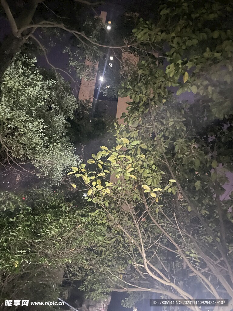 晚景