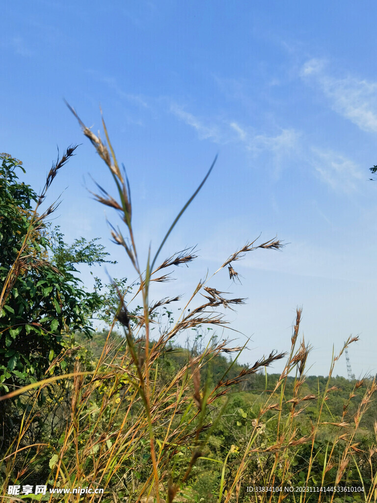 田园风光