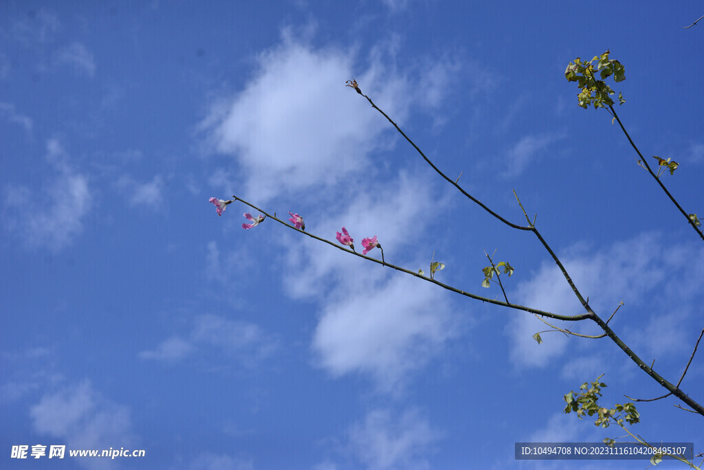 花城城市天空